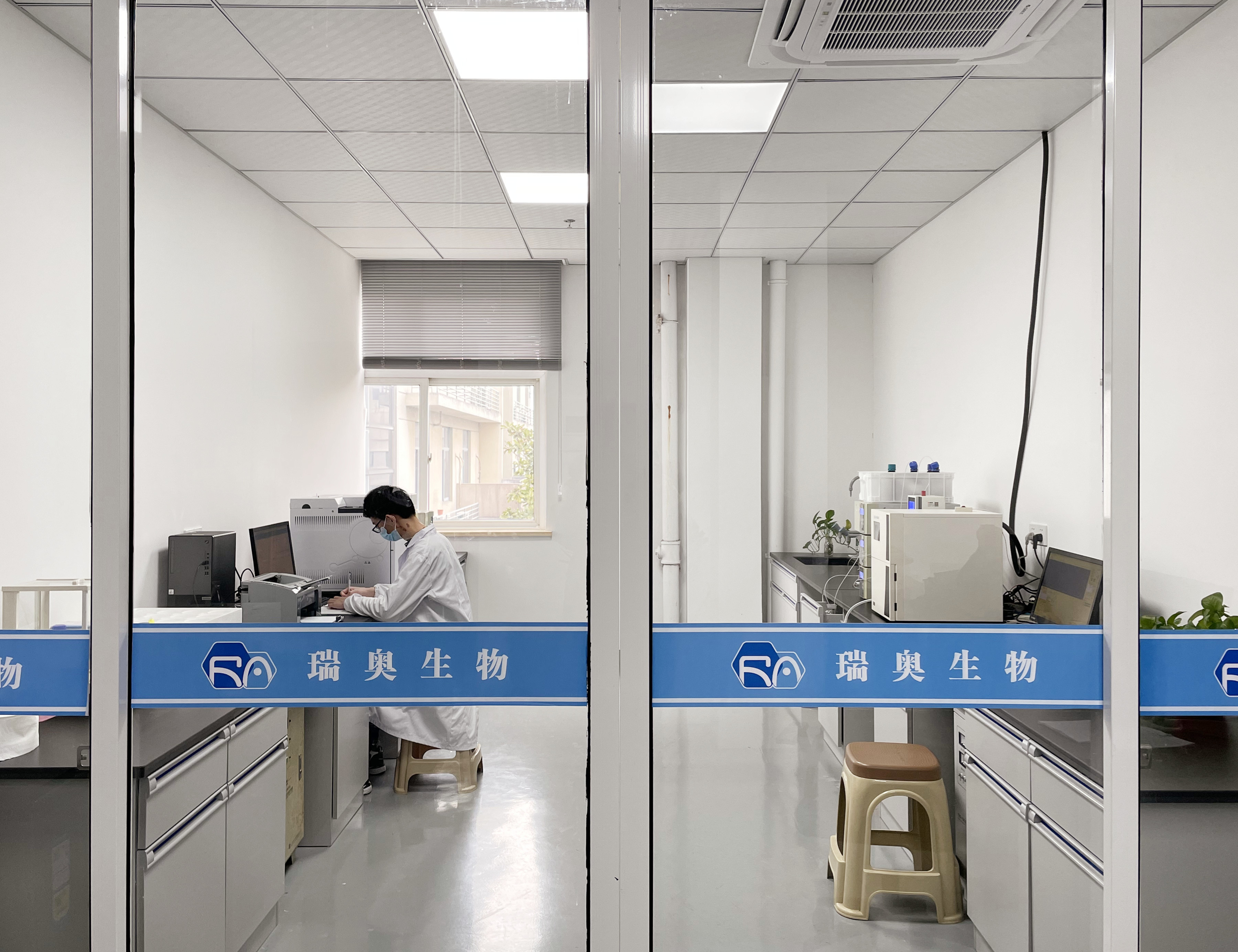 Biotin-PEG4-NHS Ester